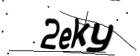 captcha_img