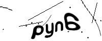 captcha_img